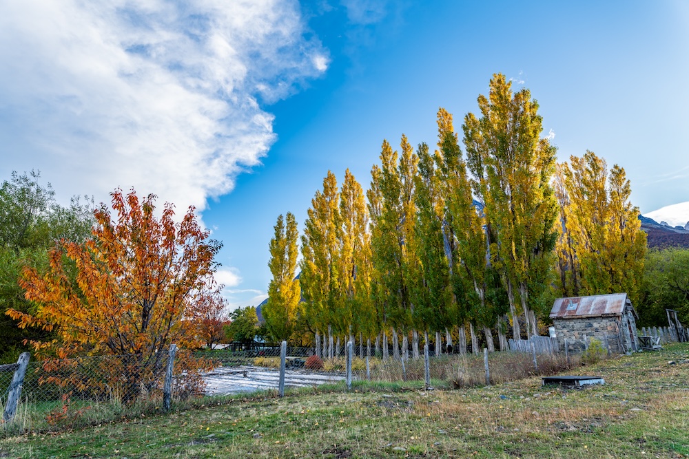 Las Torres Patagonia desarrolla iniciativas para la reutilización de restos de cerveza y huesos de vacuno